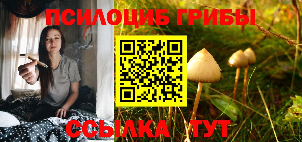 Галлюциногенные грибы Magic Shrooms  Псилоцибиновые грибы мицелий  где можно купить   Новокуйбышевск  Вход с VPN 