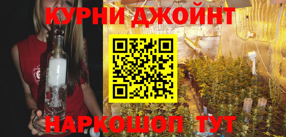 Бошки Шишки марихуана Новокуйбышевск