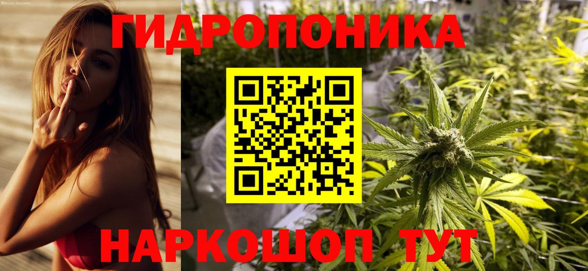 Бошки марихуана план  Канабис OG Kush  Вход с VPN  Канабис план  Новокуйбышевск 